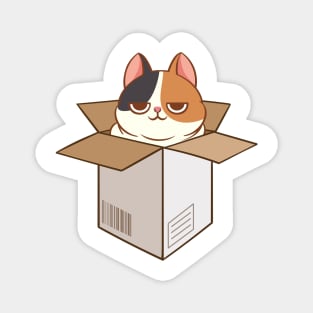 Calico cat in the box Magnet