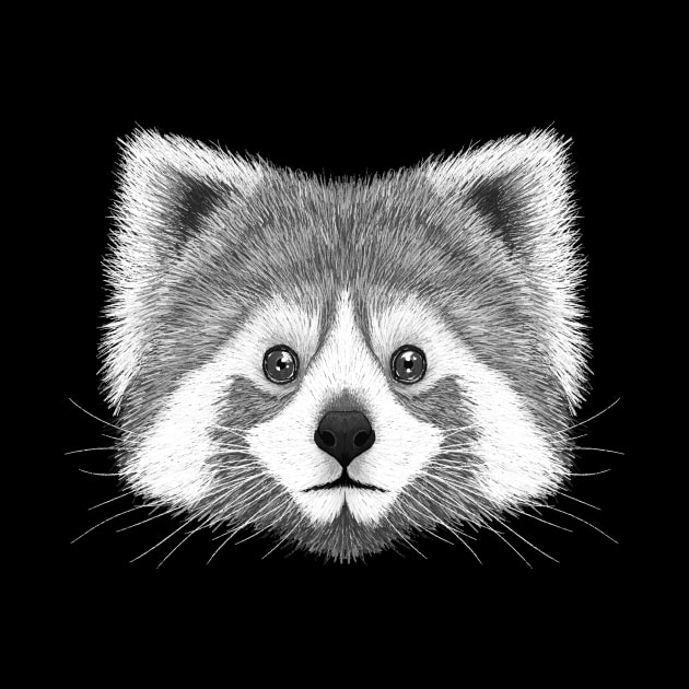 Red Panda B&W by Rohan Dahotre