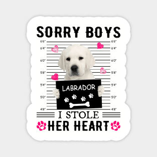 White Labrador Sorry Boys I Stole Her Heart Valentine Magnet