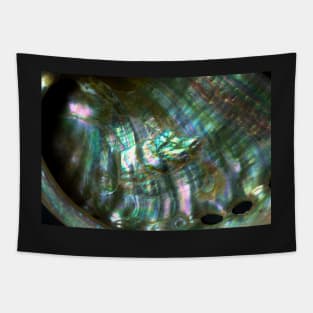 BLACK RAINBOW MOTHER OF PEARL SHELL METALLIC SHIMMER Tapestry
