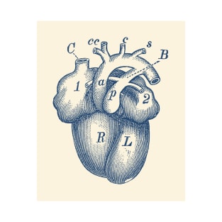 Simple Human Heart Diagram T-Shirt