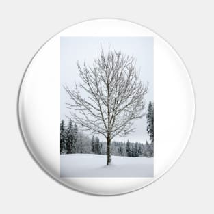 Lone Snow Covered Tree Pin