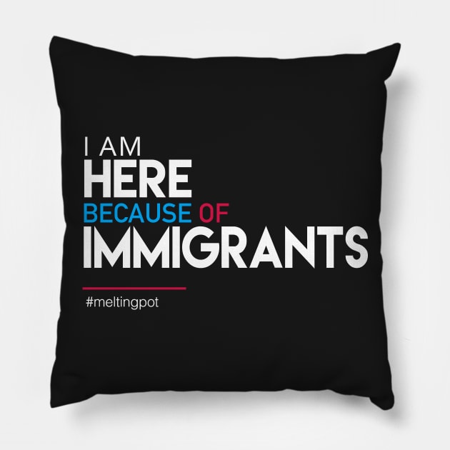 I'm Here Because of Immigrants Pillow by Boots