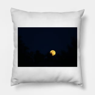 Blue Moon Rising 2016 Pillow