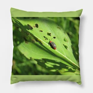 Pigweed Flea Beetle Pillow