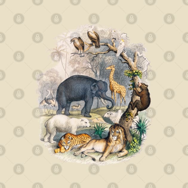 Wild Animals Vintage Illustration Lion Tiger Elephant Vulture Giraffe by Pine Hill Goods