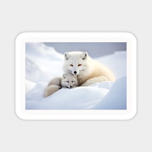 Fox Animal Wild Beauty Freedom Wilderness Enchanting Magnet