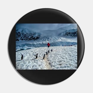 Walking with penguins in Antarctica Pin