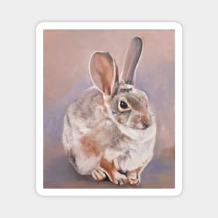 Desert Cottontail rabbit painting Magnet