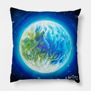 Pangea Pillow