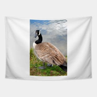 Canada Goose Canadian Geese Wild Bird Tapestry