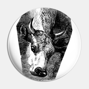 Cow Portrait Ink Drawing Pin