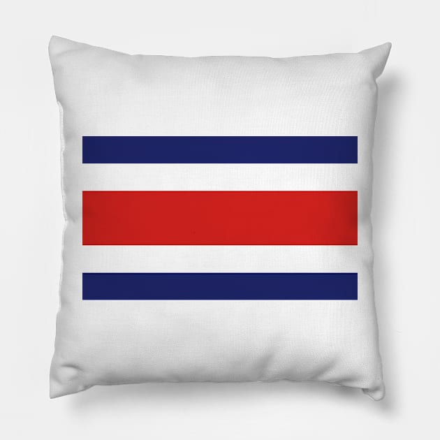 Costa Rica Pillow by Wickedcartoons