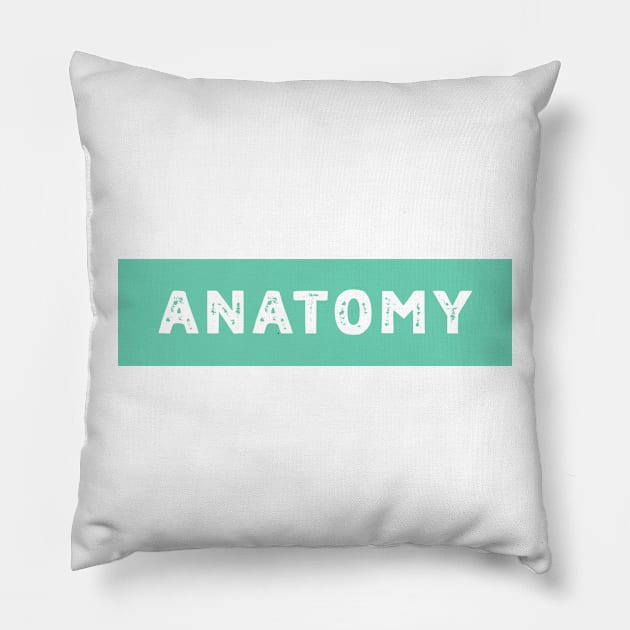 Anatomy - study of internal Structures Pillow by Blueberry Pie 