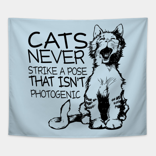 Funny Quote Cats Never Strike A Pose That Isn T Photogenic Cat