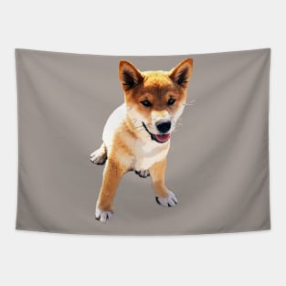 Shiba Inu Puppy Dog Tapestry