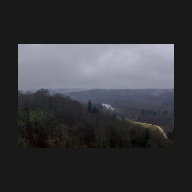 Gauja River and the valley rich in forests covered with fog by lena-maximova