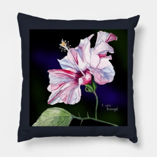 Pale Pink Hibiscus against a dark background Pillow