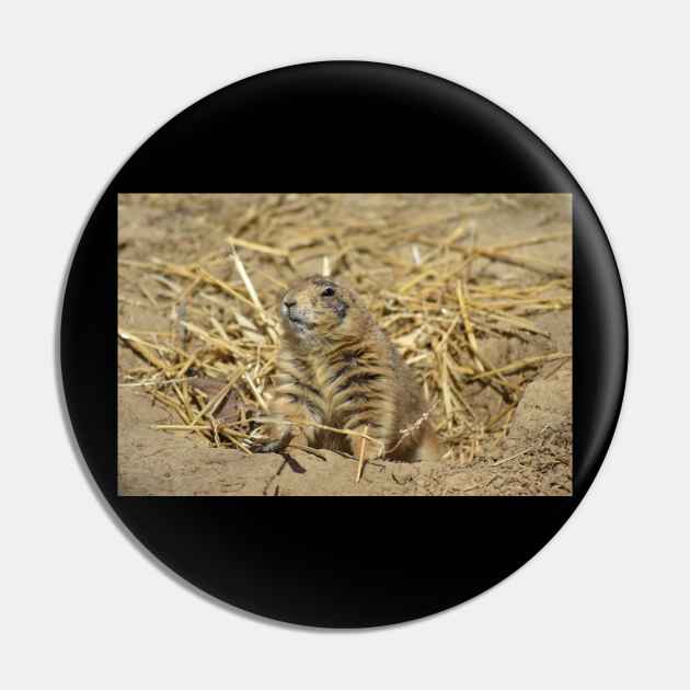 Prairie Dog Pin by MarieDarcy