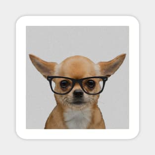Portrait of Chihuahua with Nerd Glasses Magnet