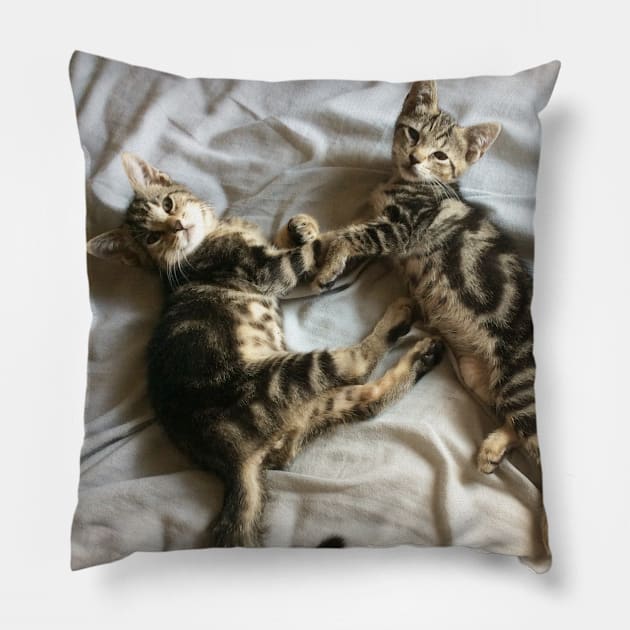 Cute Kittens Pillow by Reilly's Fine Art and Designs