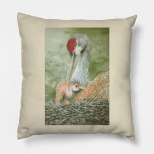 Sandhill crane newcomer Pillow