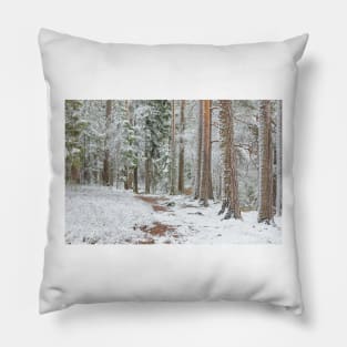 Beautiful serene winter forest landscape Pillow