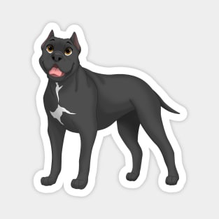 Black Cane Corso Dog (Cropped Ears) Magnet