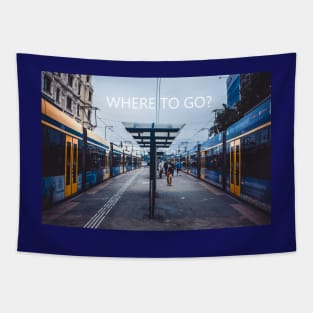 Where to go? Tapestry