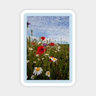 English Wild Flowers Magnet