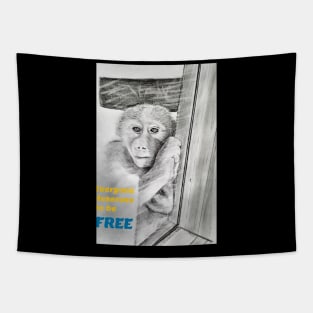 Everyone deserves to be free - monkey Tapestry