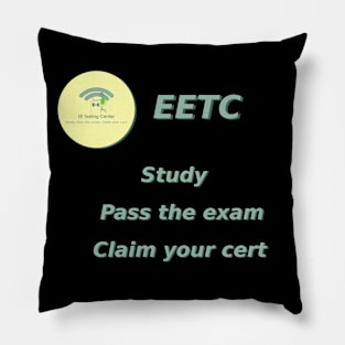 EE Testing Center Pillow