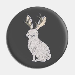 Serene Jackalope Pin