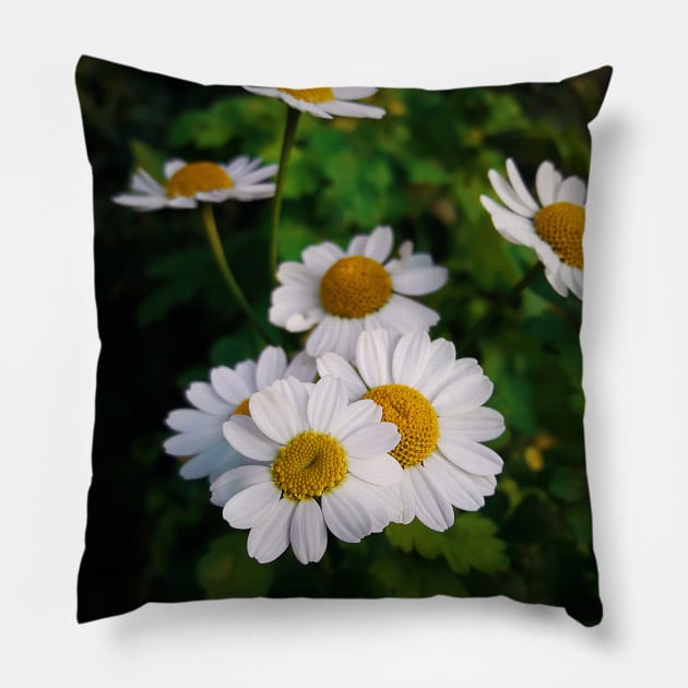daisy Pillow by psychoshadow