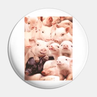 Pigs Pin