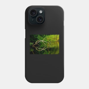 The art pond - Trébabu Phone Case