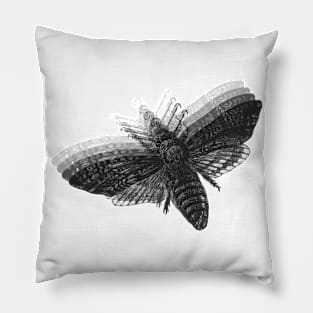 Moth / BLACK / Pillow
