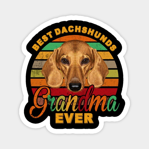 Best Dachshunds Grandma Ever Magnet by franzaled