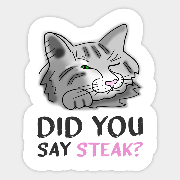 steak cat