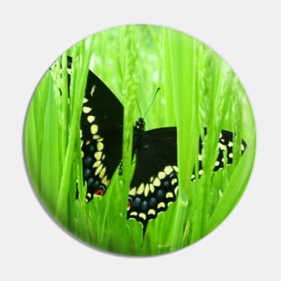 Black Swallowtail Butterfly Pin