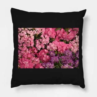 Pink flowers Pillow