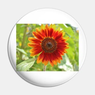 Firecracker Flower Pin