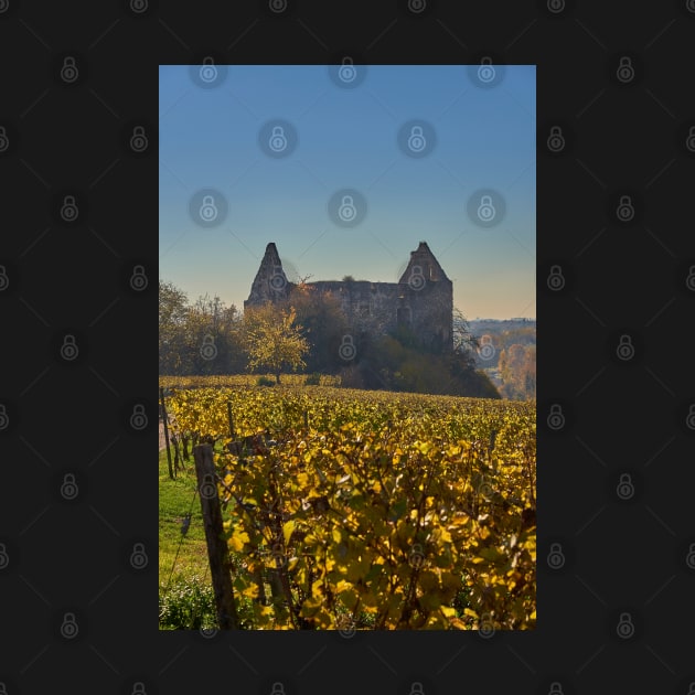 Burkheim, Kaiserstuhl - the castle by mbangert