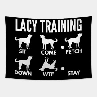 Lacy Training Blue Lacy Tricks Tapestry