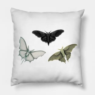 Gothic Moth Pack Pillow