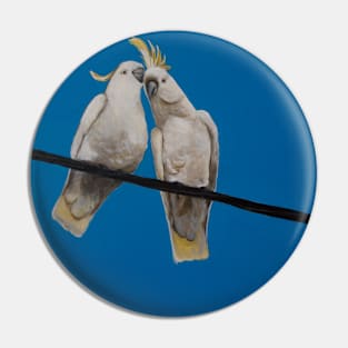 Salt Crested Cockatoo Pair Pin