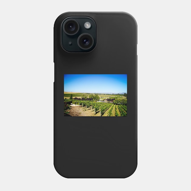 Domaine Carneros Napa Valley Phone Case by sanityfound