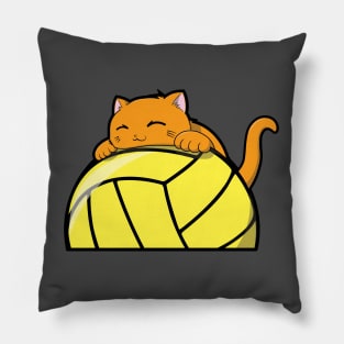 Cute Cat Hugging A Volleyball Pillow