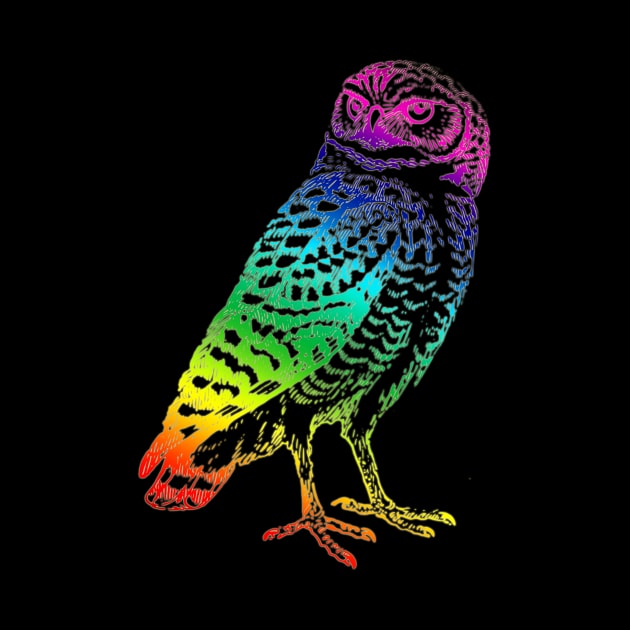 Owl Rainbow by hudayadi