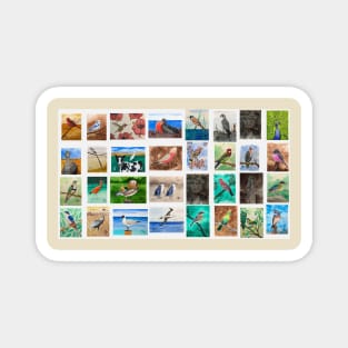 Birds from around the world Magnet